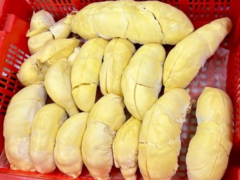รับฟรีซดรายทุเรียน